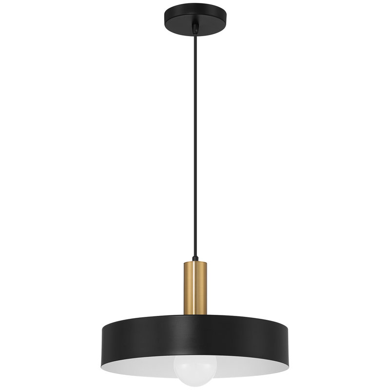 Luminaire suspendu 1 lumière Roree, Noir, Noir