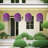 Daisy Arrangement-398277108