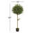 Olive Topiary Artificial Tree