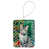 American Shorthair Cat