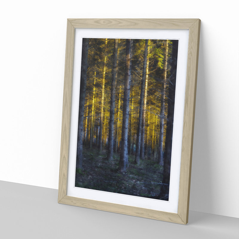 Sunlight Forest Vol.3 - Picture Frame Painting, Oak Framed, 36cm H x 27cm W x 2cm D