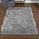 Petrey Indoor Rug