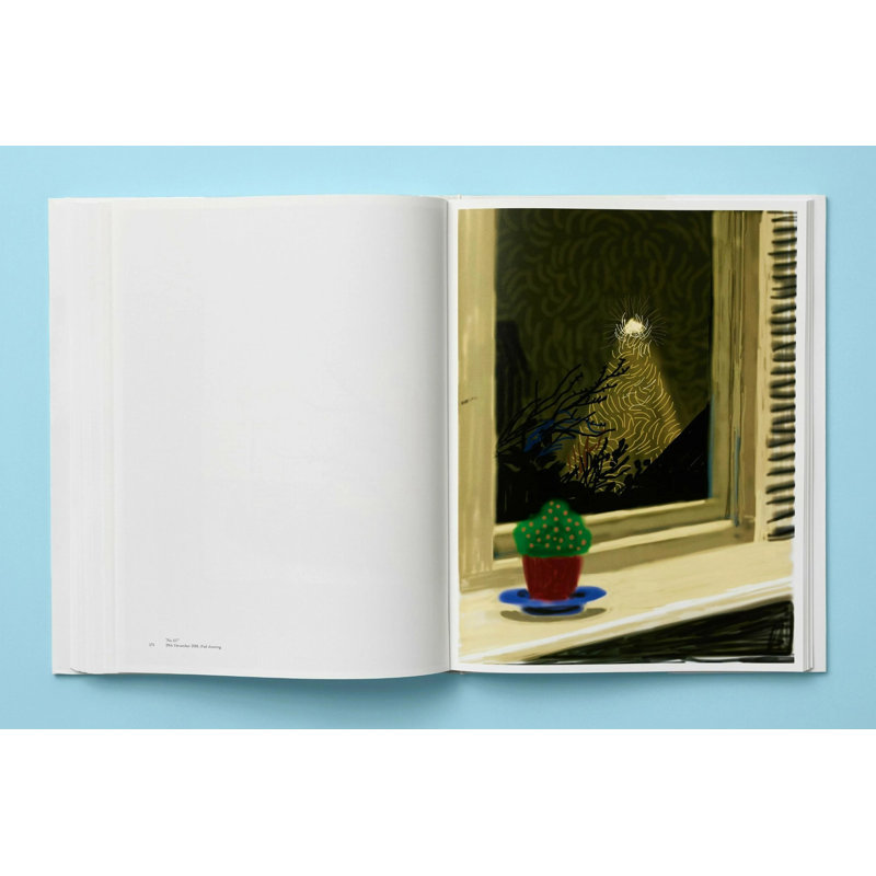 Hockney, My Window