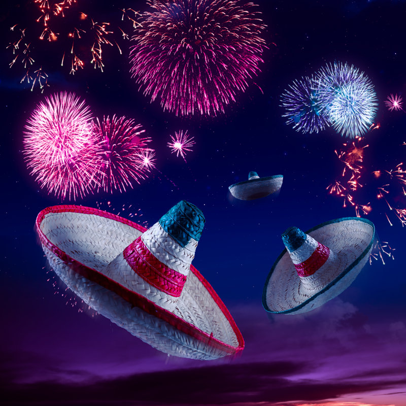 Yvelines Mexican Hat Sombrero - Wrapped Canvas Print, 91cm H x 91cm W x 3.8cm D