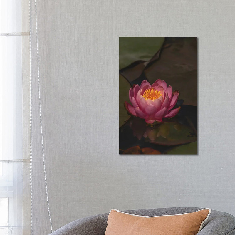 Water Lily by Louis Ruth - Wrapped Canvas Print, 66.04 cm H x 45.72 cm W