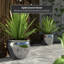 Medallion Urn-347584817-347584821