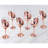 Jaivian 14 Oz. Copper Stemmed Wine Glasses