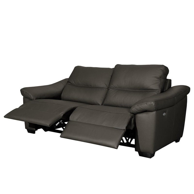 Edeltrudis Genuine Leather 2 Seater Reclining Sofa, Anthracite, 100cm H x 212cm W x 95cm D