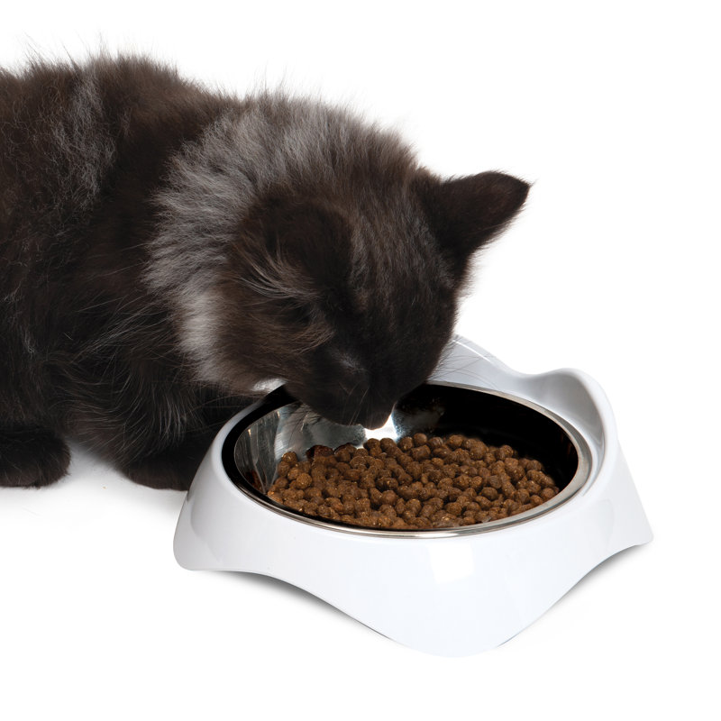 Catit Pixi Dish, (with extra bonus ss bowl)