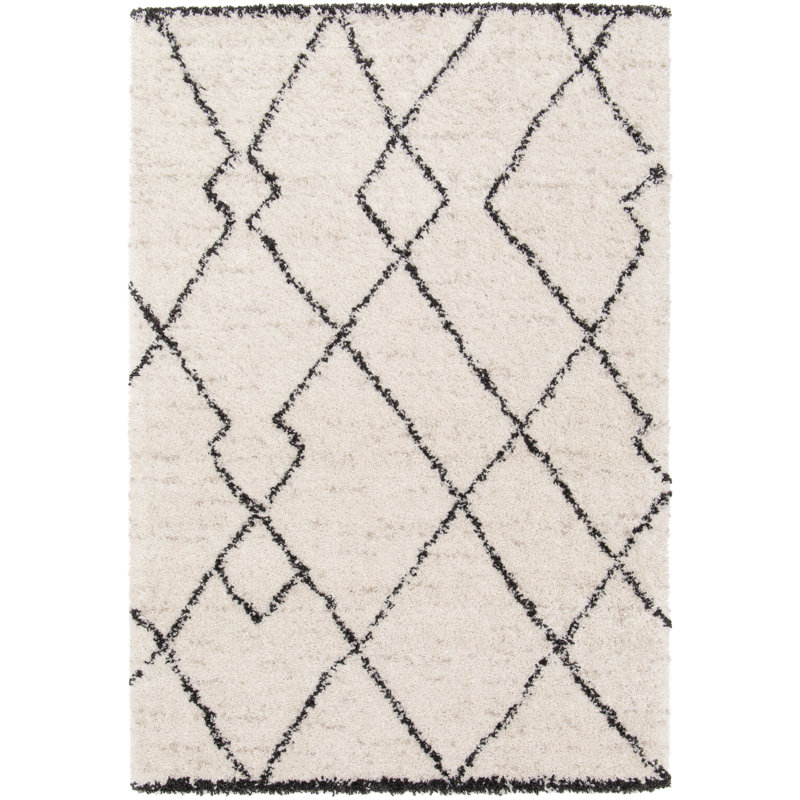 Barryknoll Shag Area Rug, Rectangle 80 x 150cm