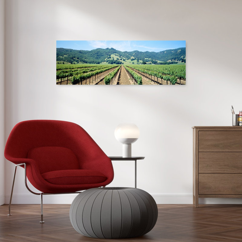 Napa Valley Vineyard Hopland, Ca, paysage abstrait contemporain, art mural printanier, H 12 po x l 36 po