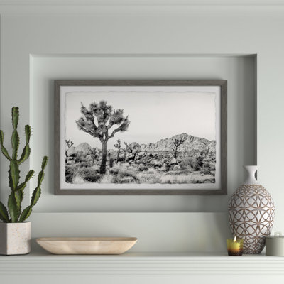 " Joshua Tree National Park " by Marmont Hill