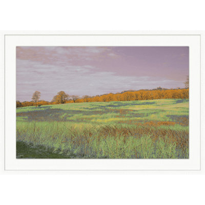 Lillian August " Fields Of Color 1 " Color Photography Print