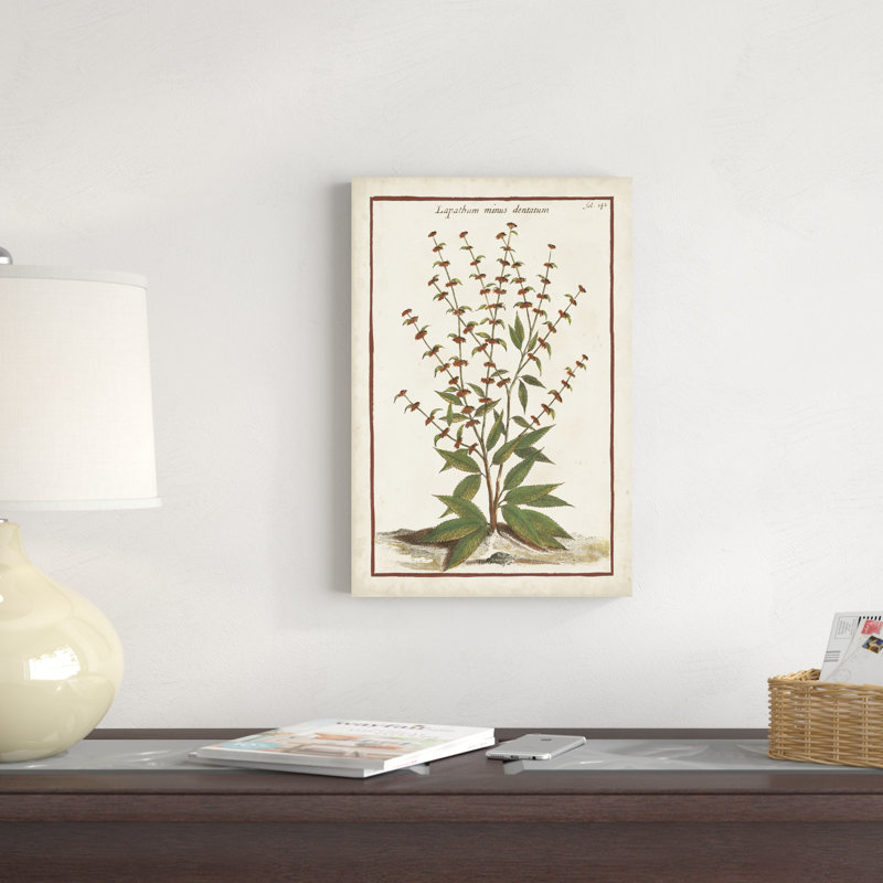 Munting Botanicals III, H 18 po x l 12 po
