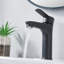 Robinet de salle de bain un trou noir mat Tayanuc, robinet de meuble-lavabo en acier inoxydable à poignée simple pour lavabo de salle de bain avec tuyaux d'alimentation en eau