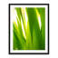Sunkissed _ 3591 Print by Petra Trimmel-65791693-132454861