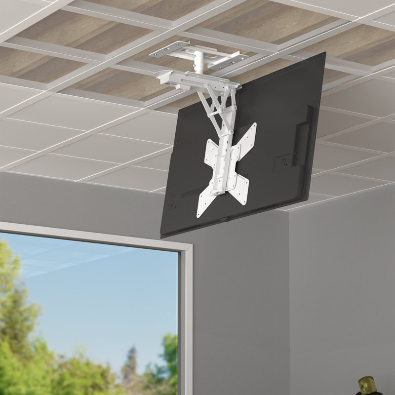 Fixation au plafond tombante VIVO conçue pour les modèles Mount-E-fd55w, Mount-e-fd70w