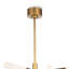 Cass Chandelier-1173048067