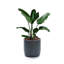 Grand pot de fleurs rond 14,1 "avec trou de drainage