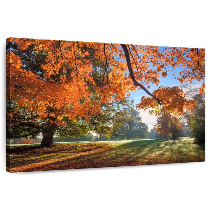 Alvord East Rock Park - automne, H 20 po x l 30 po