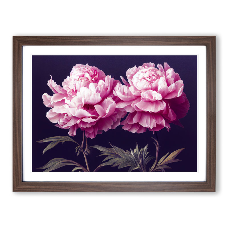 Splendorous Peony Flowers - Framed Print, 46cm H x 64cm W x 2cm D, Walnut