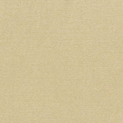 Antic Sahara Sample
