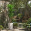 147cm Plant