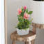 Natascia Hydrangea Arrangement in Vase