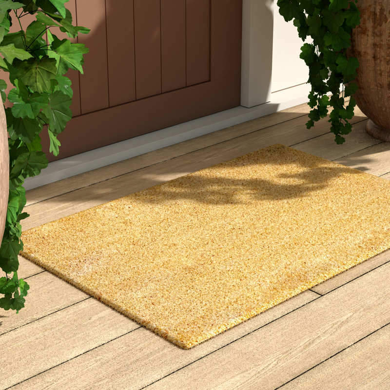 Abeyta Non-Slip Outdoor Doormat, 24" W x 36" L