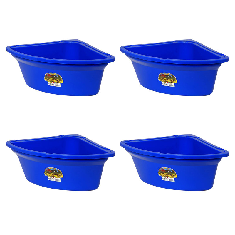 Food Storage And Container