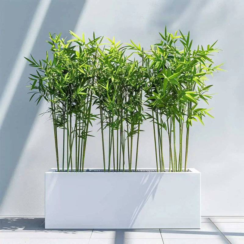 Reny Galvanised Zinc Trough Planter, 40cm H x 120cm W x 40cm D, White