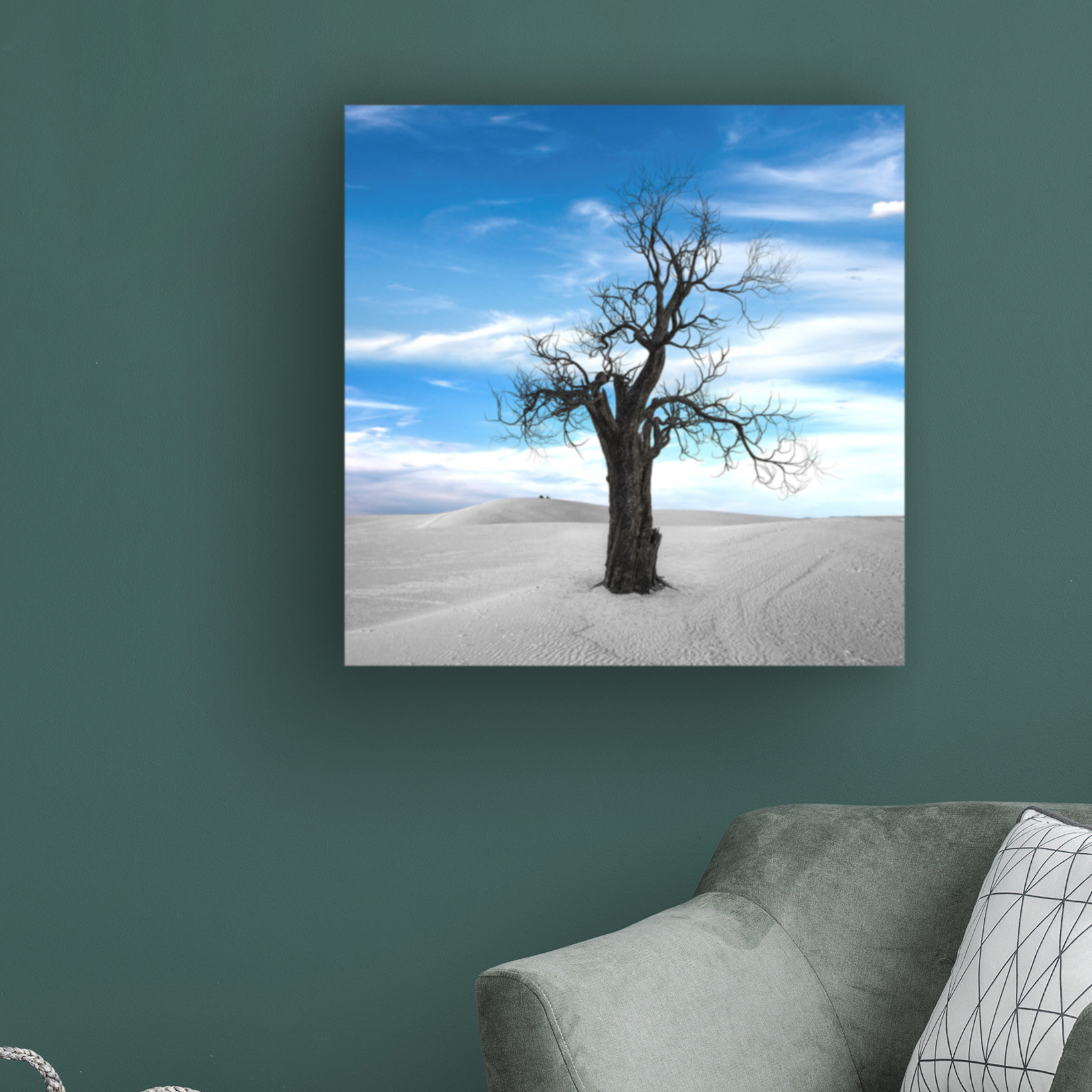 Ebern Designs Dead Tree Dt by Ata Alishahi - Wrapped Canvas Photograph ...
