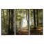 Forêt d'automne verte avec rayons de soleil - ensemble d'art mural sur toile encadré paysage-2128247404-2128247315