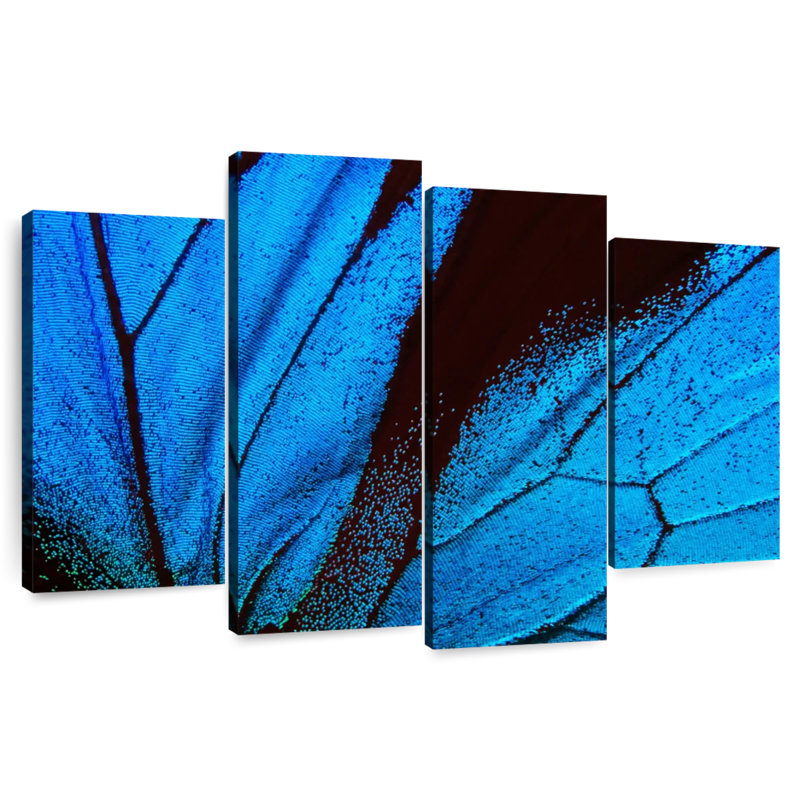 Azure Butterfly Wings