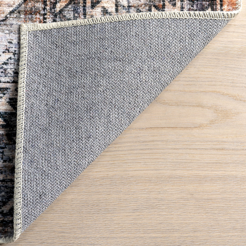 Franciskus SplashGuard Geometric Machine Washable Area Rug, Rectangle 2' x 3'