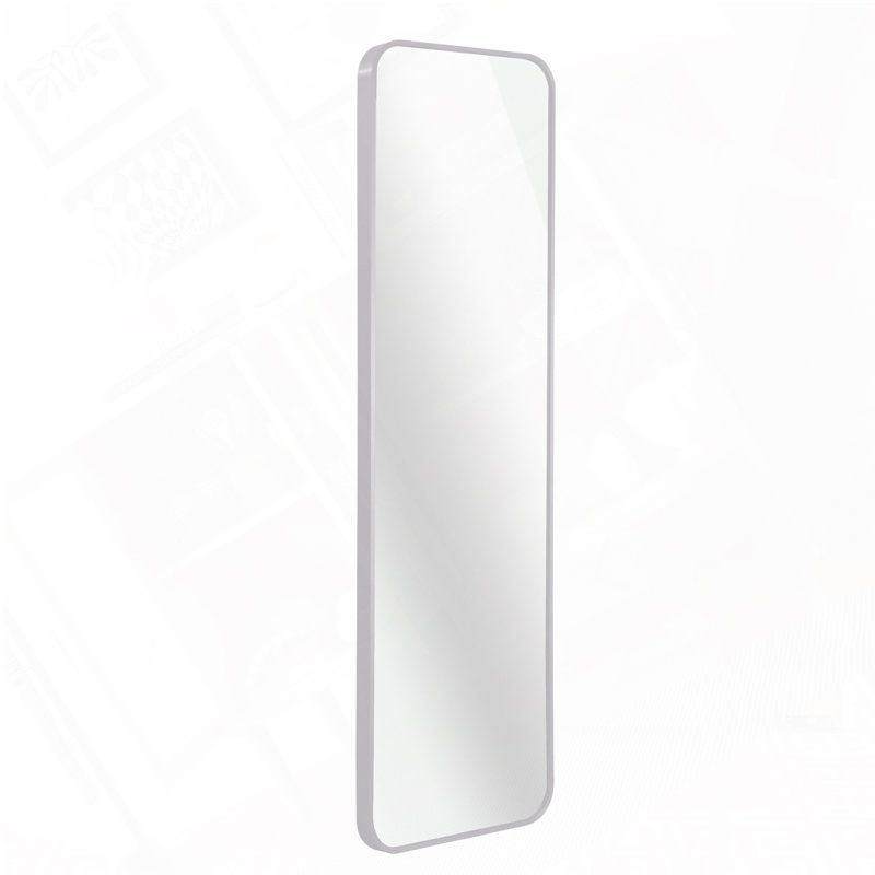 47 x 14IN Door mirror, Silver