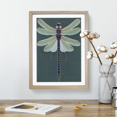 Legendary Dragonfly - Framed Print