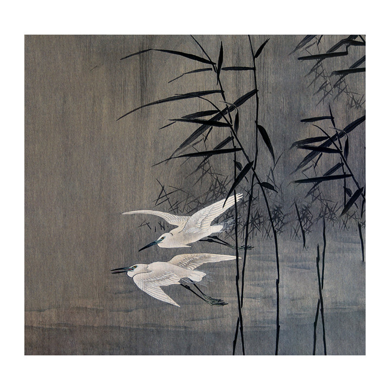 Rashud Matte Mural, 360 x 250cm