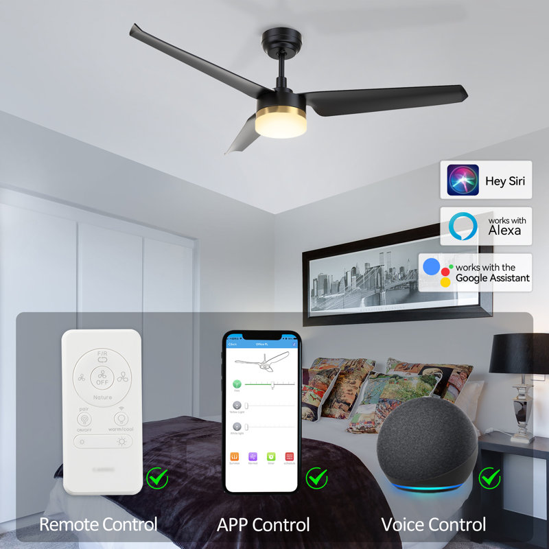 Ventilateurs de plafond standard à DEL à 3 pales 52 po avec lumières, Noir
