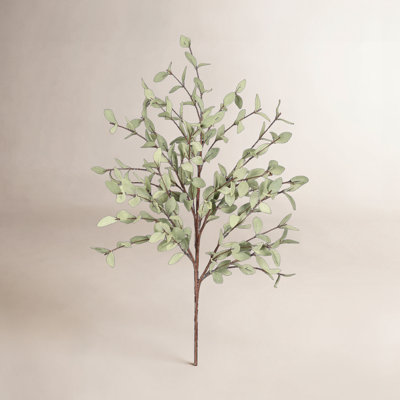 Eucalyptus Floral Stems