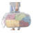 POP & FOLD TWO WAY HAMPER-GLACIER-1905200965