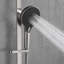 Pomme de douche multifonctionnelle