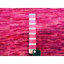 9'x12'3" Fuscia Pink Plain Solid Design Pure Sari Silk Hand Knotted Rug 8AC23E408ABC4CB49F4308BC9C62A89F