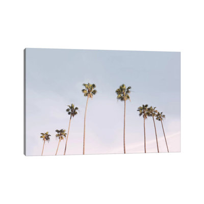 California Trees by Sisi & Seb - Wrapped Canvas Print