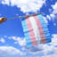 Paquet de 12 mini-drapeaux Anley Transgender