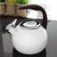 Chantal Anniversary 2 qt. Enamel on Steel Stovetop tea kettle-1789707796