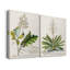 «Allurant Botanical I», ensemble de 2 reproductions d'art sur toiles-1542498440-1542498450