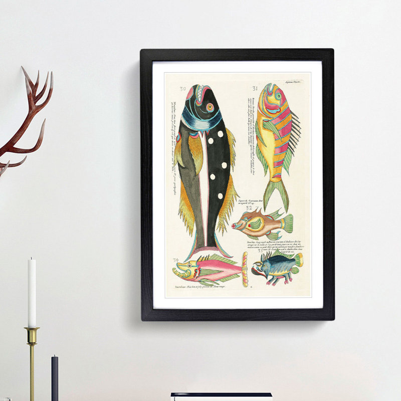 East Indies Fish Illustrations Septieme by Louis Renard - Picture Frame Graphic Art Print, 48cm H x 36cm W x 2cm D