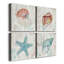 Coral and Shell I - ensemble de 4 reproductions sur toiles tendues-1848821250