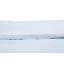 Worrell Cotton Solid Colour Duvet Cover-27845963-27845960